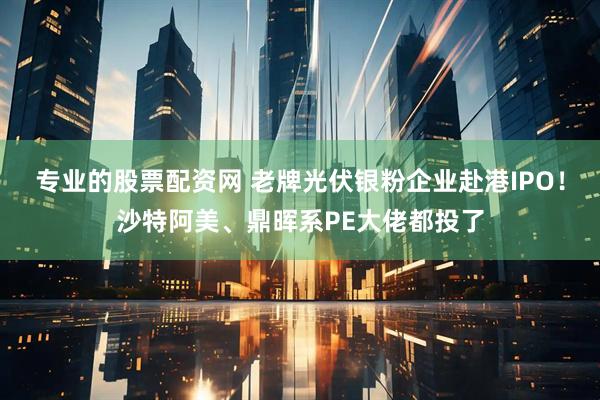 专业的股票配资网 老牌光伏银粉企业赴港IPO！沙特阿美、鼎晖系PE大佬都投了