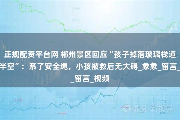 正规配资平台网 郴州景区回应“孩子掉落玻璃栈道悬挂半空”：系了安全绳，小孩被救后无大碍_象象_留言_视频